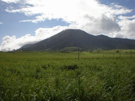 St Kitts Train Ride37